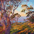 Erin Hanson