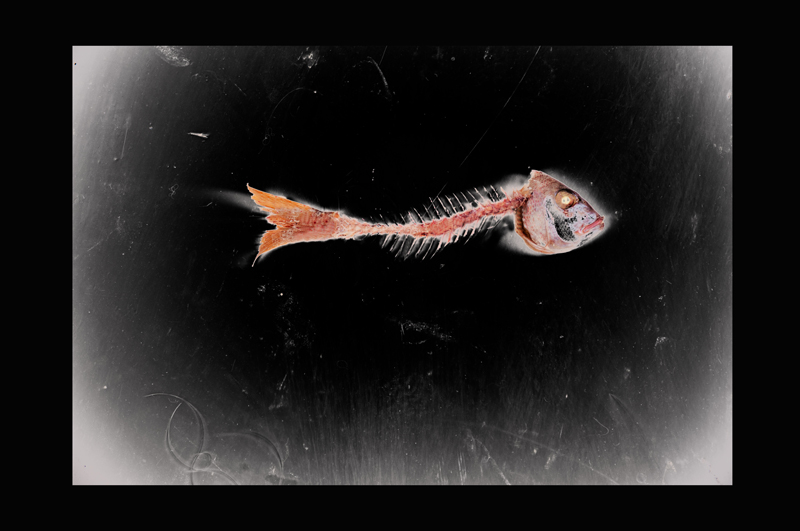 Michelangelo Arizzi - Fishing