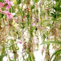 Floating Flower Garden by TeamLab