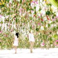 Floating Flower Garden by TeamLab