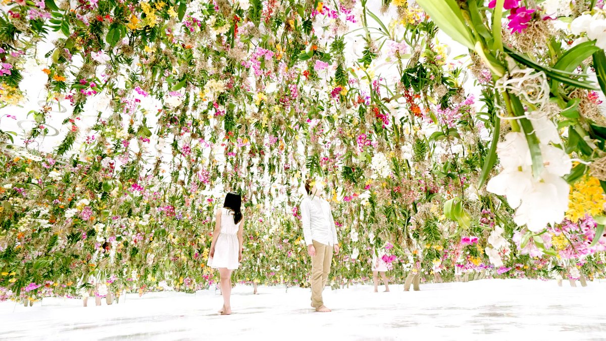 Floating Flower Garden by TeamLab