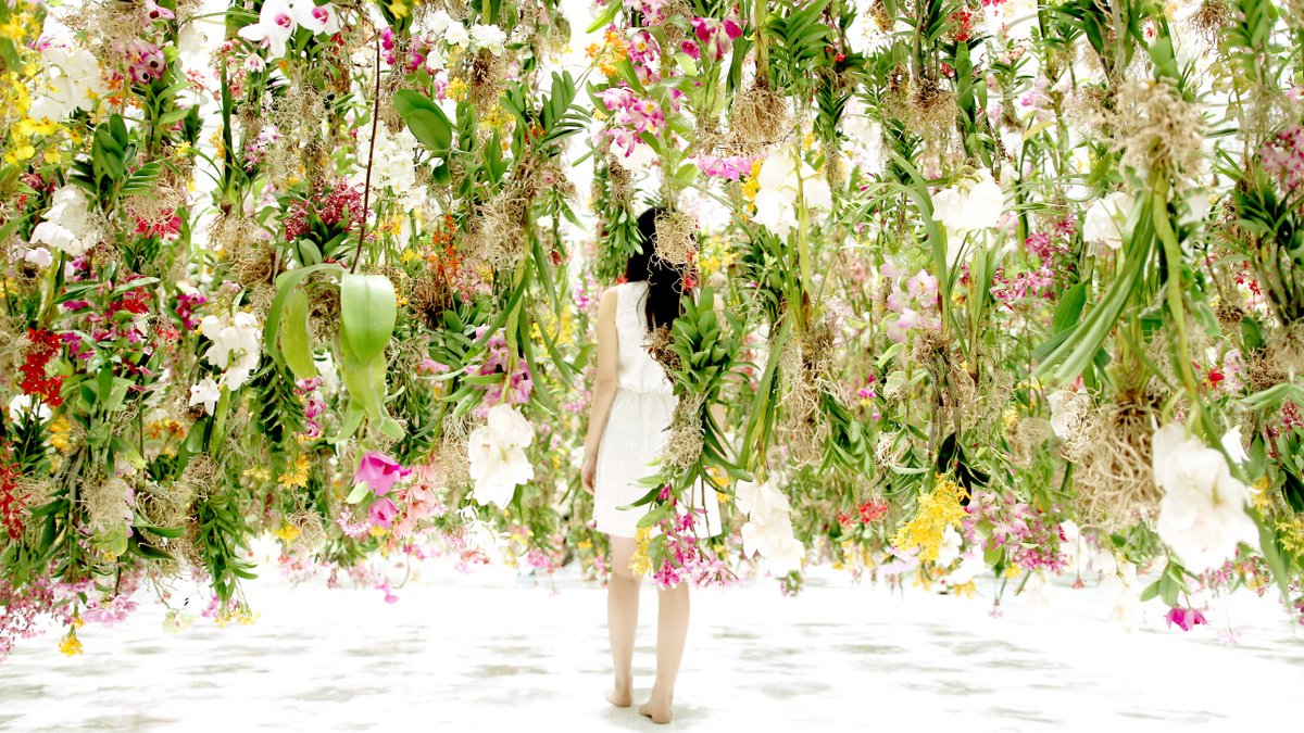 Floating Flower Garden by TeamLab