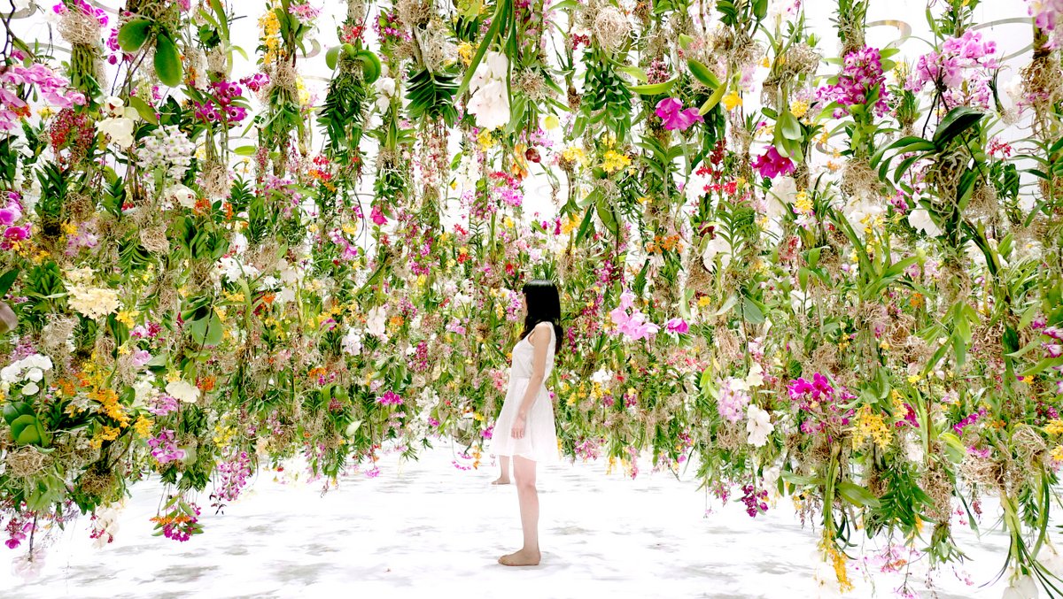 Floating Flower Garden by TeamLab