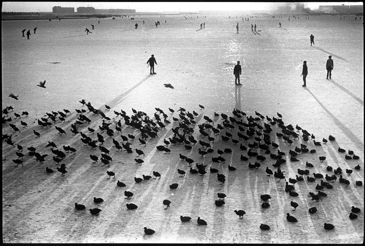 Leonard Freed - Amsterdam 1964