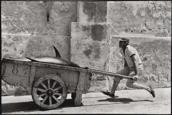 Leonard Freed - Sicilia, 1975