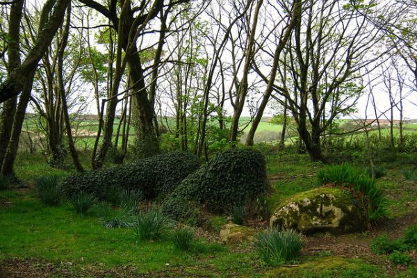 Lost Gardens of Heligan