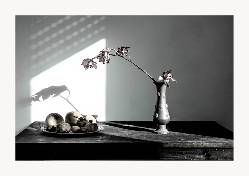 Michelangelo Arizzi - Natura morta con orchidee