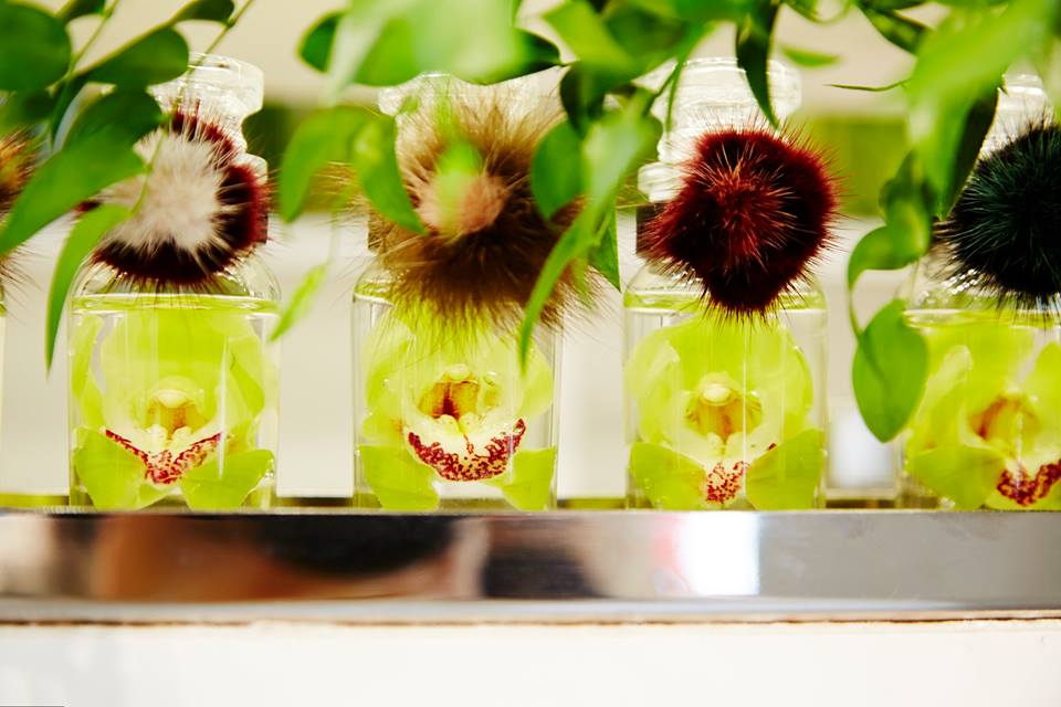 Fendi Flowerland by Azuma Makoto