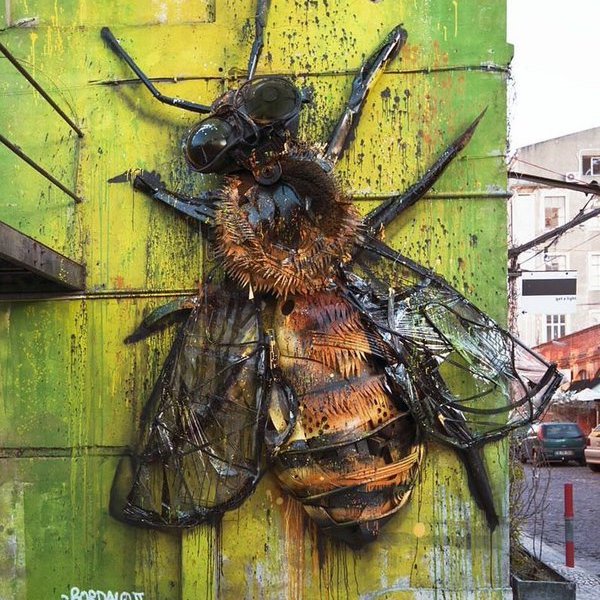 Bordalo II @Lisbona