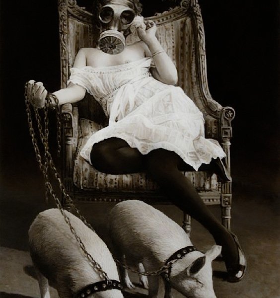 “The Chocolate Donut” by Fred Einaudi