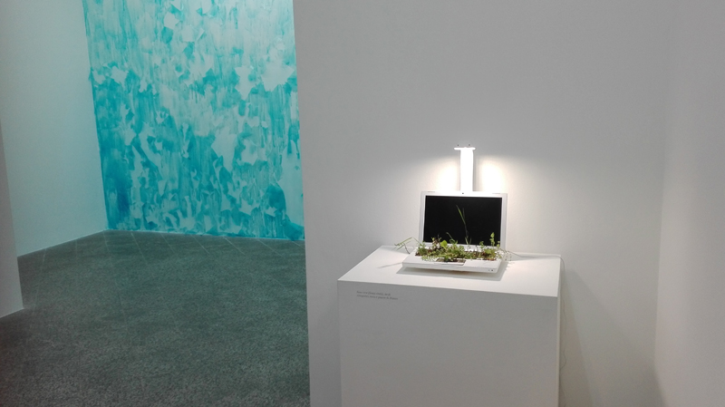 I 5 sensi dell'arte (backstage) - Museo MAN (Living Room di Michel Blazy)