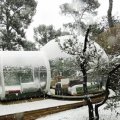 Transparent Bubble Tent