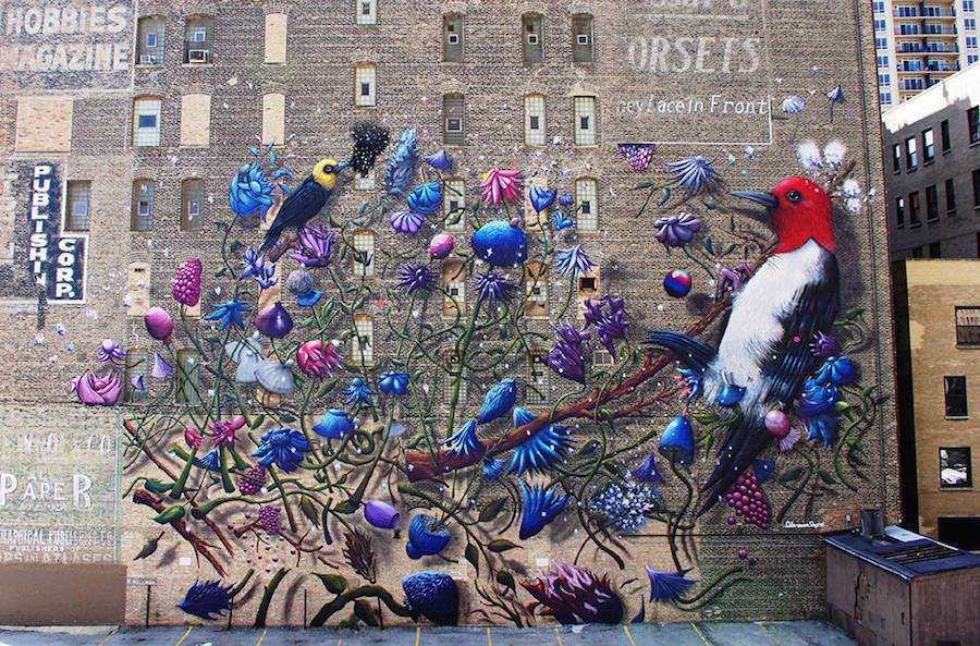 Collin van der Sluijs @Chicago