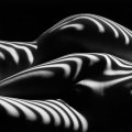 Lucien Clergue