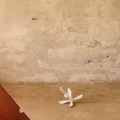 Montecristo Project