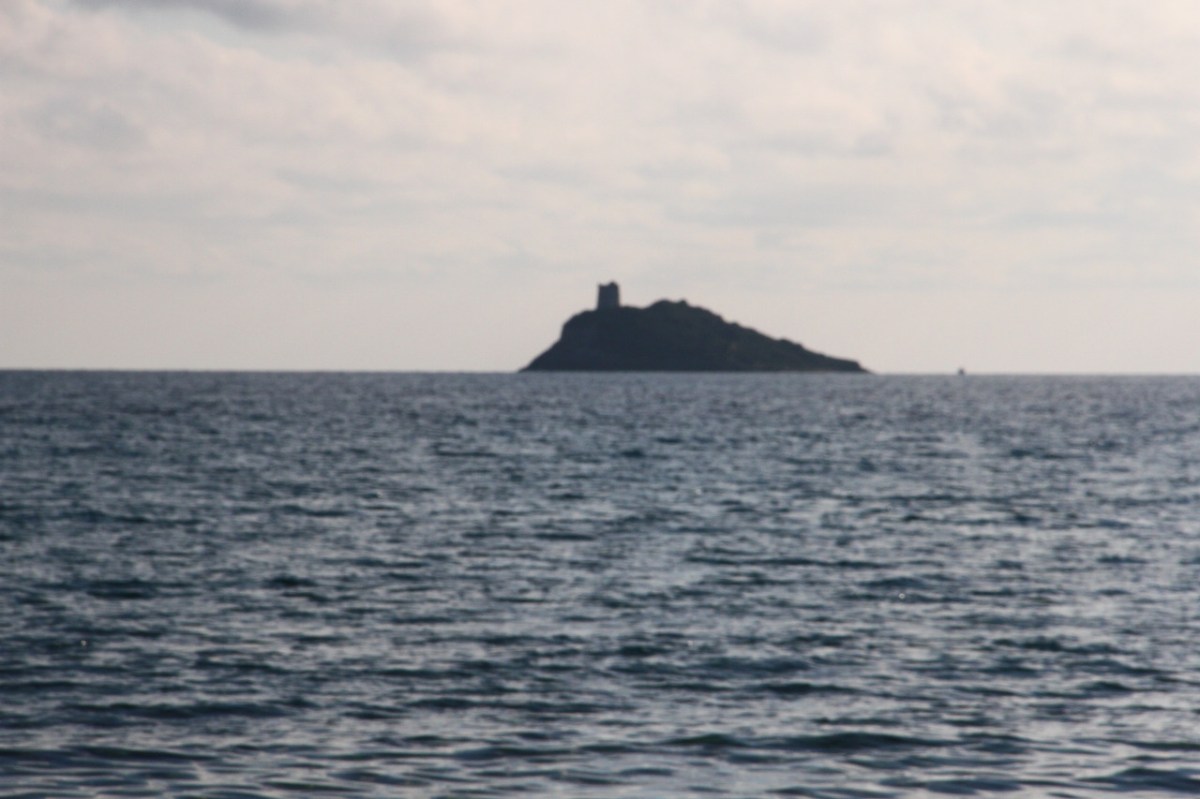 Montecristo Project