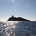 Montecristo Project