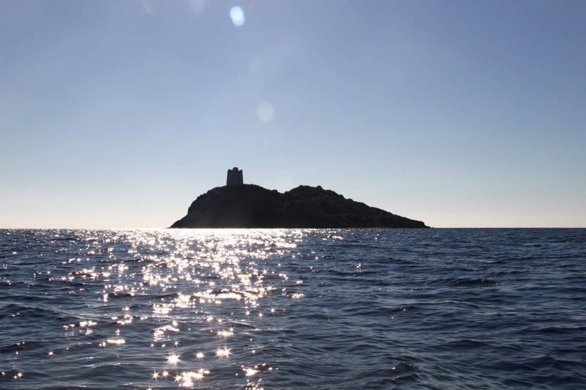 Montecristo Project