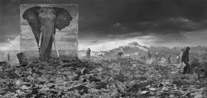 Nick Brandt - Inherit the Dust