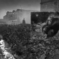 Nick Brandt – Inherit the Dust