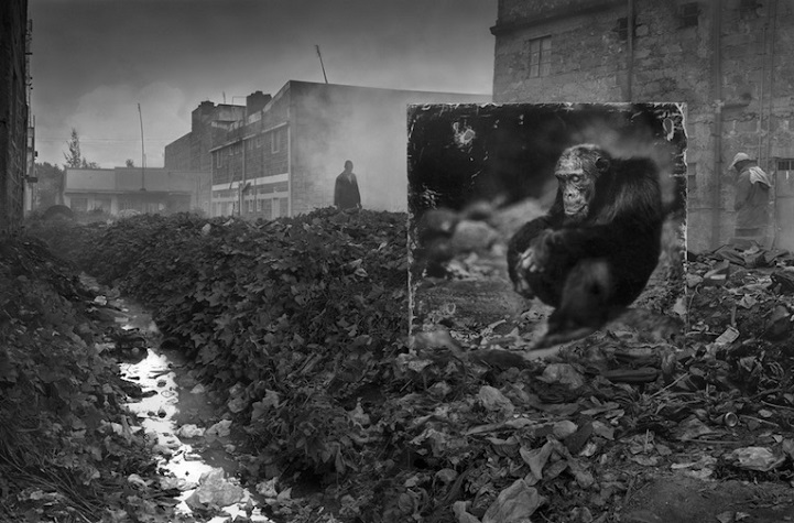 Nick Brandt - Inherit the Dust