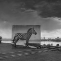 Nick Brandt – Inherit the Dust