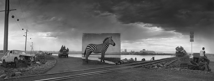 Nick Brandt - Inherit the Dust