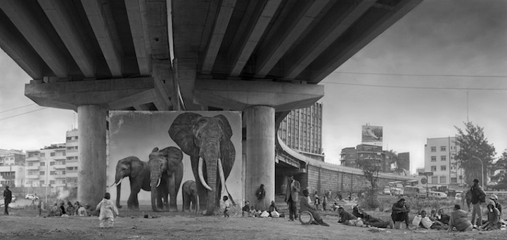 Nick Brandt - Inherit the Dust