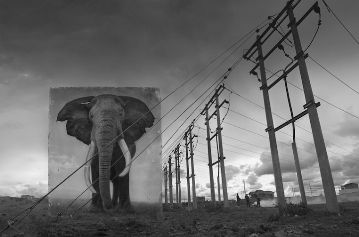 Nick Brandt - Inherit the Dust