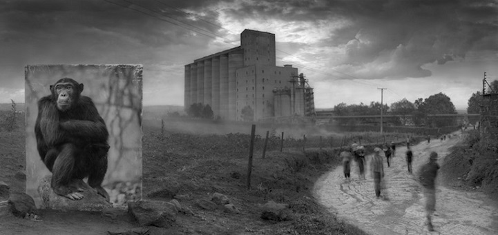Nick Brandt - Inherit the Dust