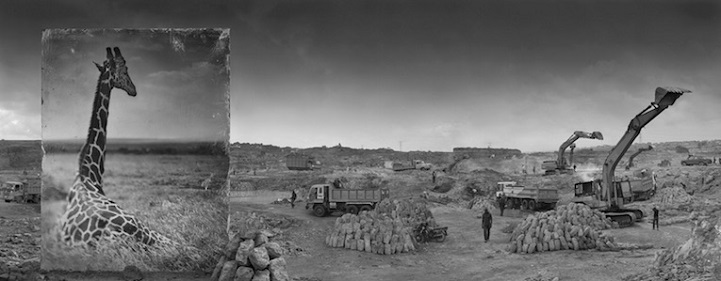 Nick Brandt - Inherit the Dust