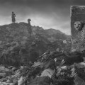 Nick Brandt – Inherit the Dust