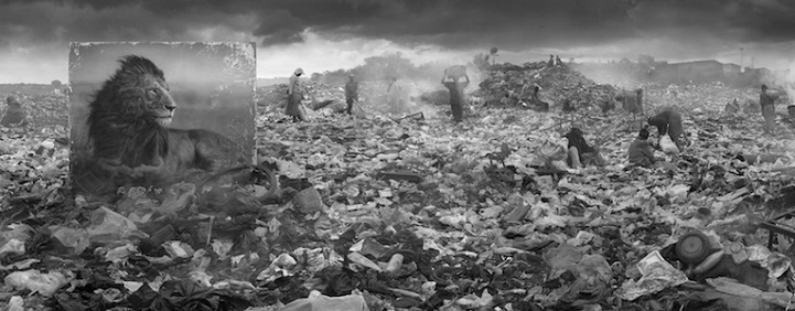 Nick Brandt - Inherit the Dust