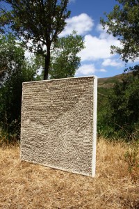 Occhio Riflesso
