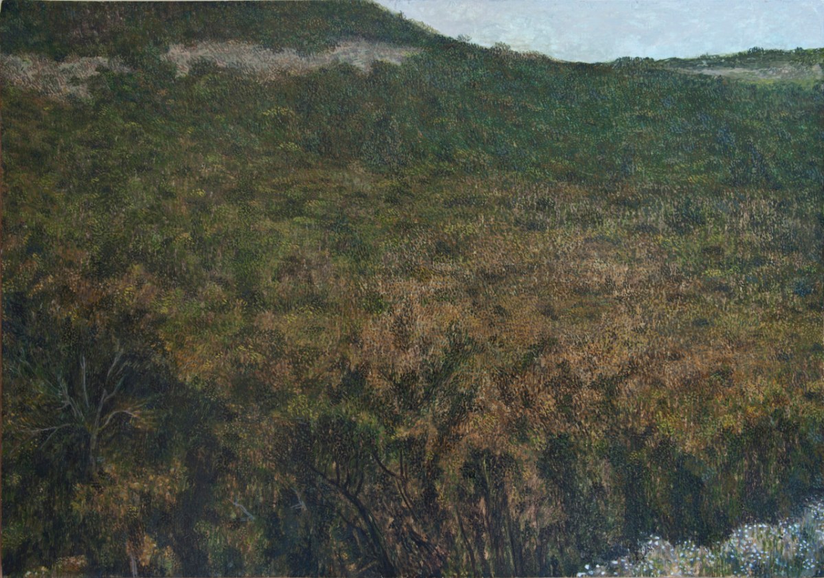 Occhio Riflesso