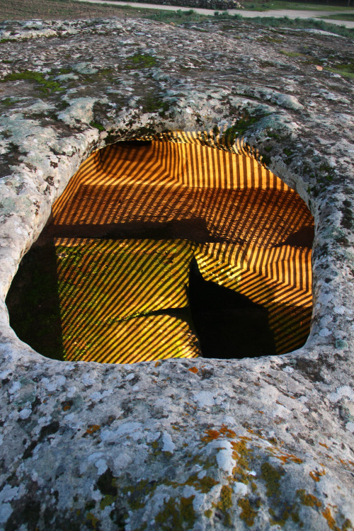 Occhio Riflesso