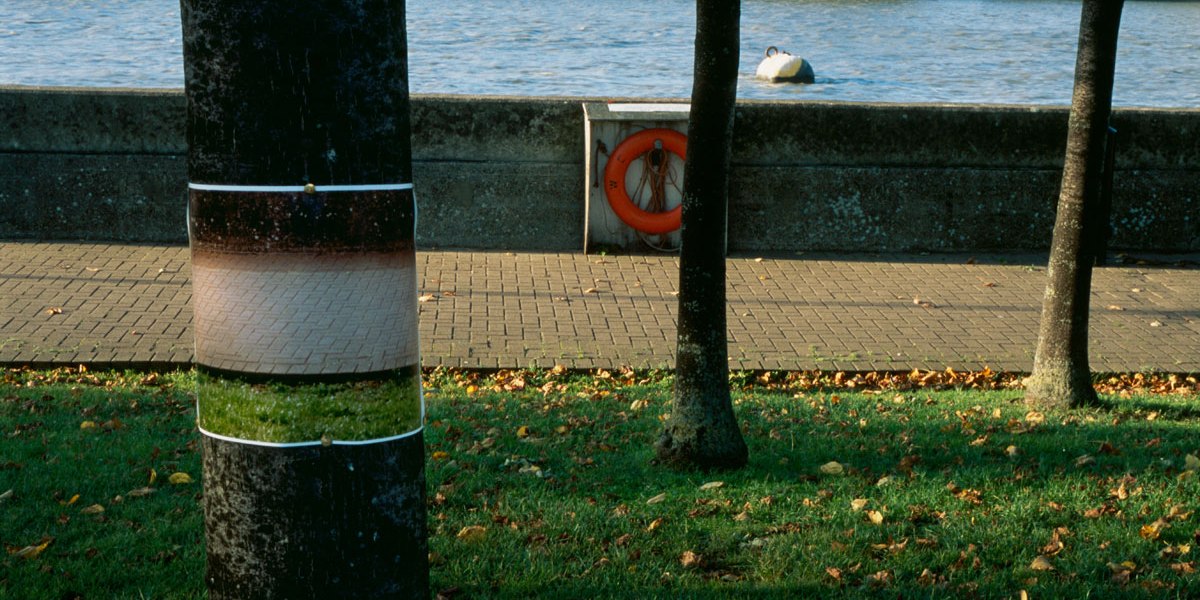 Signs and Wonders by Alva Bernadine