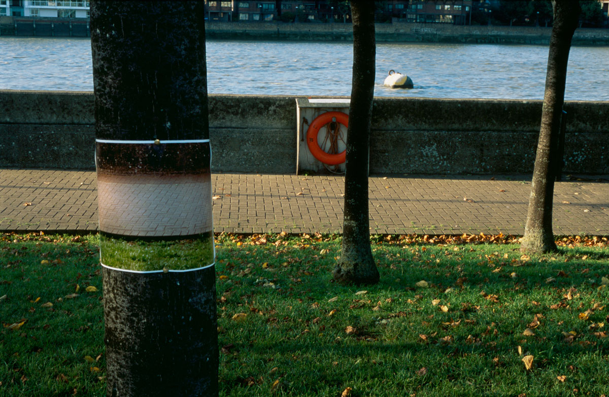 Signs and Wonders by Alva Bernadine