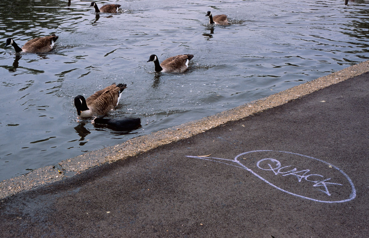 Signs and Wonders by Alva Bernadine