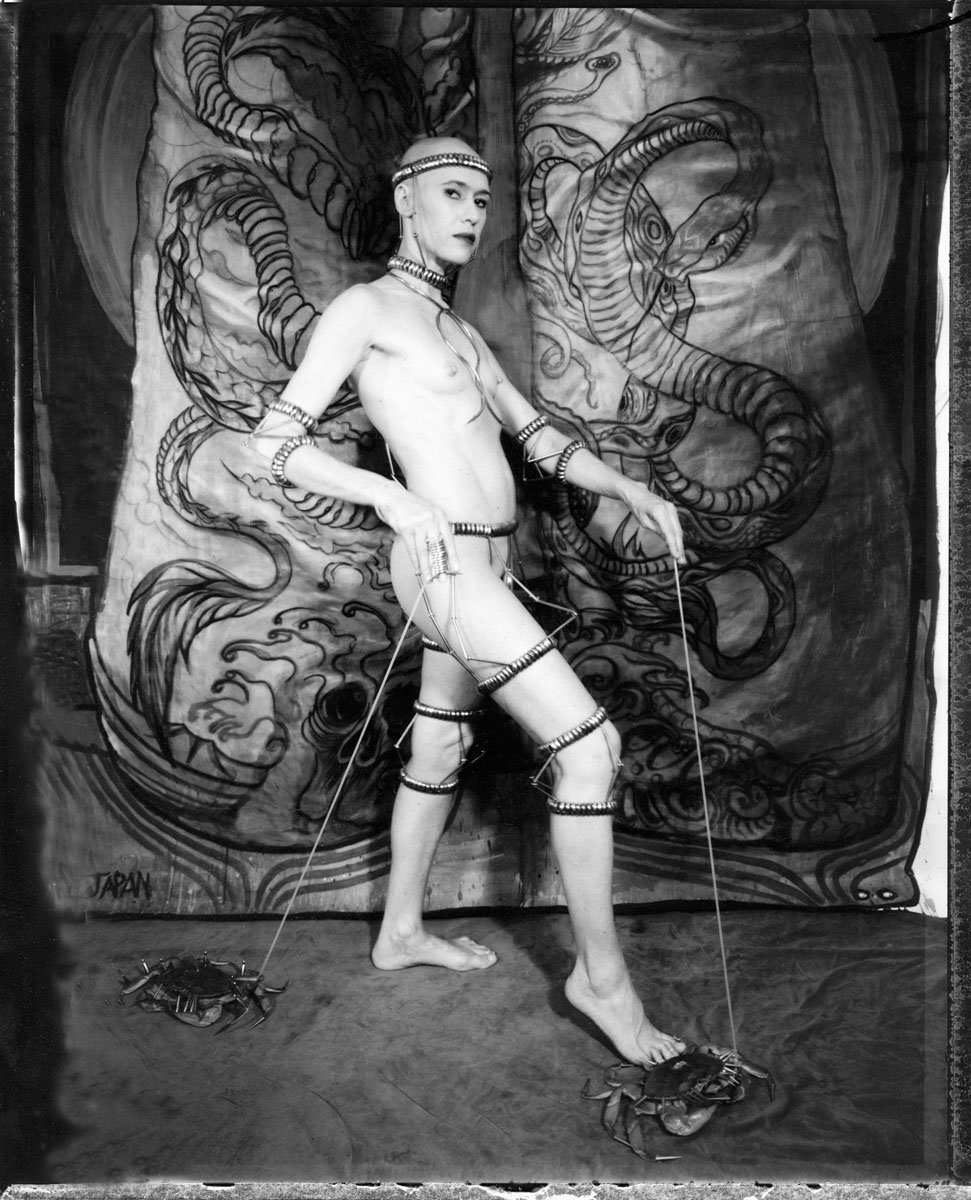 Vee Speers - Parisian