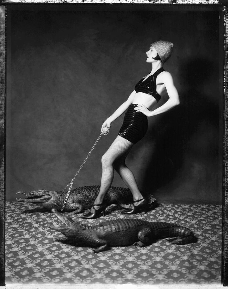 Vee Speers - Parisian