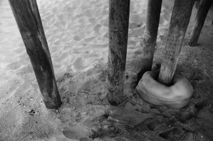 Viktória Kollerová