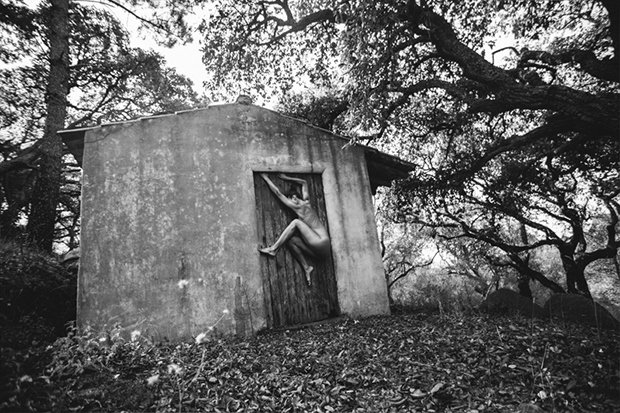 Viktória Kollerová