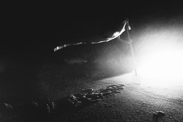 Viktória Kollerová