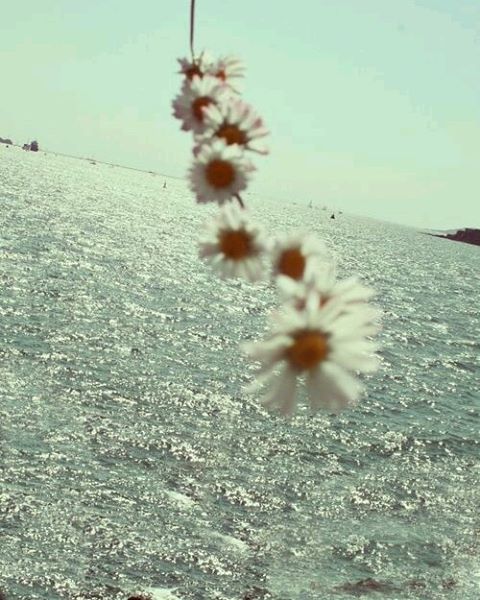 Autore sconosciuto Autore sconosciuto