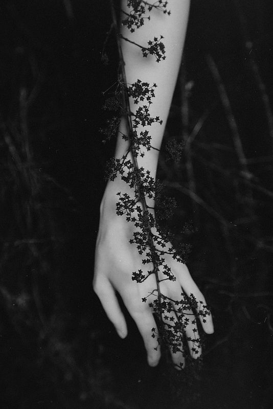 Anna O