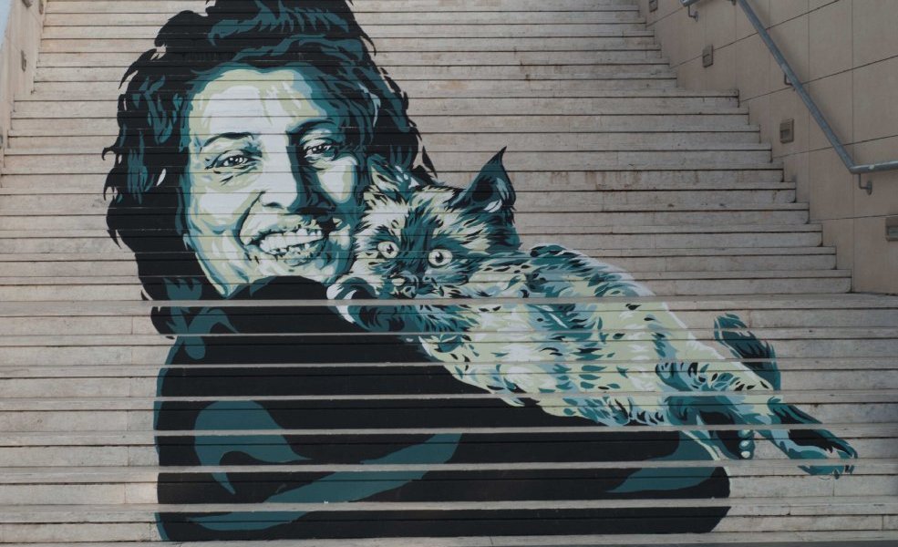 David Diavù Vecchiato @ Roma