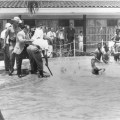 Due rabbini e cinque i neri erano in piscina. Ecco un ufficiale cerca di colpire uno dei rabbini