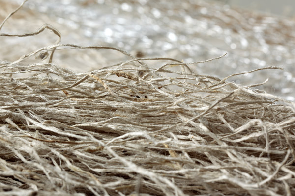 Kiyomi Iwata - raw kibiso