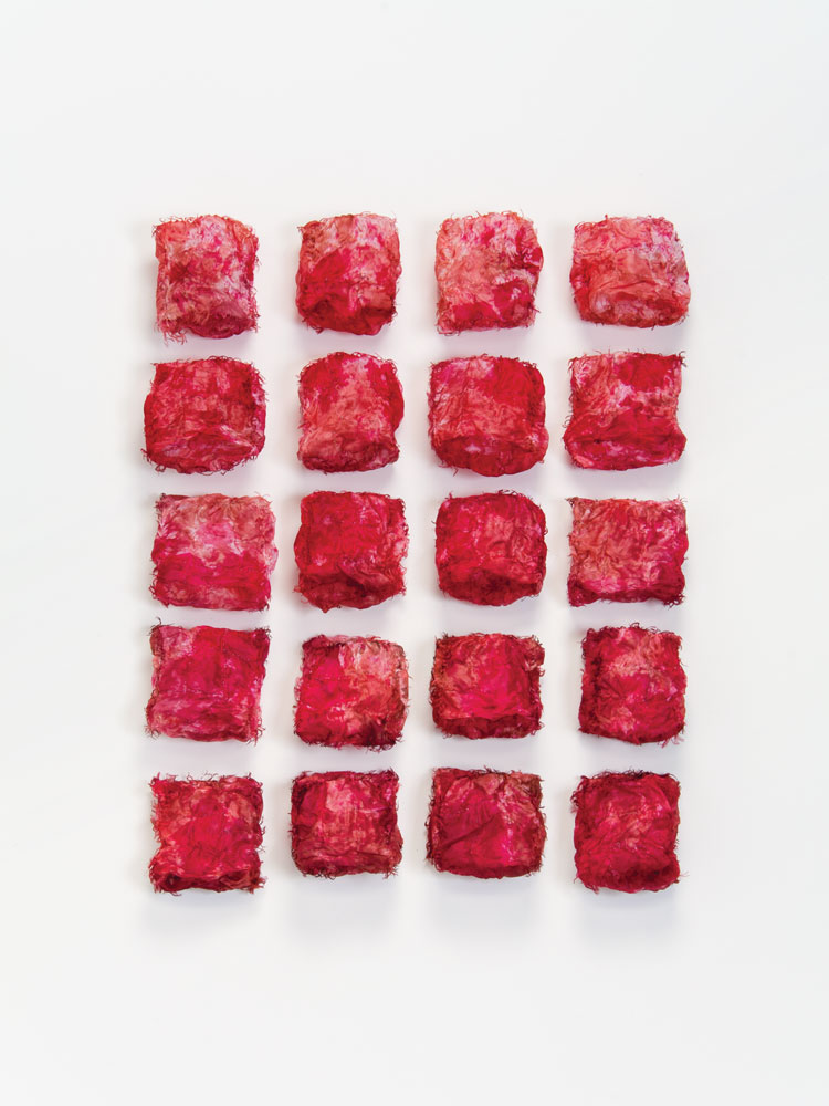 Kiyomi Iwata - Red Nova Three, 2009, silk organza, 39 x 29 x 5 in. - Photo by Taylor Dabney